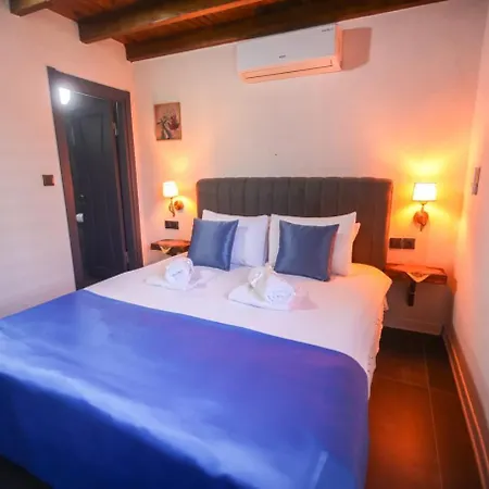 Big - Sıcak Havuzlu Tatil Evi Sapanca
